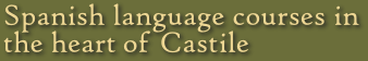Spanish language courses in Castile, Central Spain